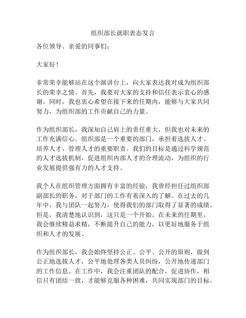 组织部长就职表态发言