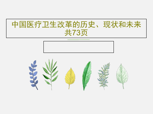 中国医疗卫生改革的历史、现状和未来 共73页PPT文档75页