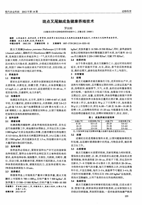 斑点叉尾鮰成鱼健康养殖技术