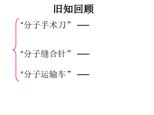 高中生物选修3-基因工程的操作顺序