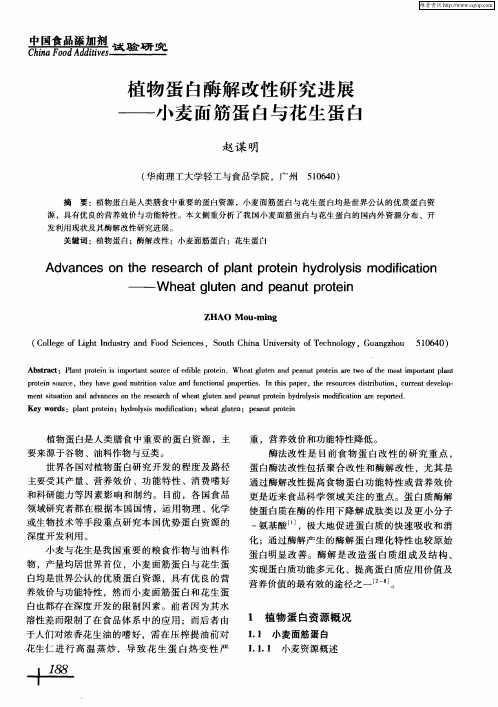 植物蛋白酶解改性研究进展——小麦面筋蛋白与花生蛋白