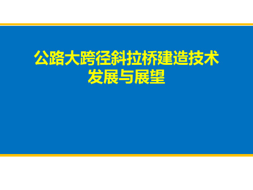 公路大跨径斜拉桥建造技术发展与展望PPT培训课件