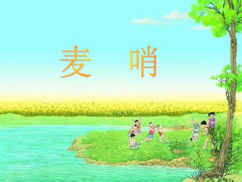 《麦哨》教学1PPT课件