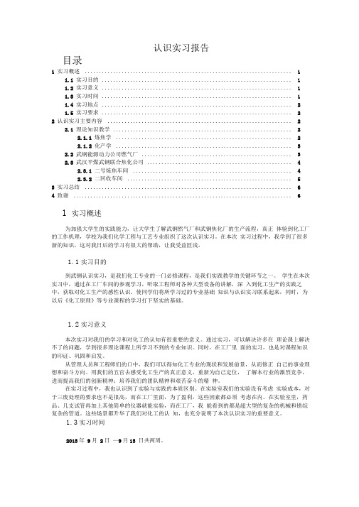 武汉平煤武钢联合焦化公司实习报告