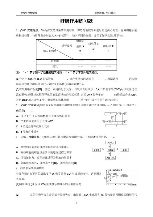 呼吸作用典型题