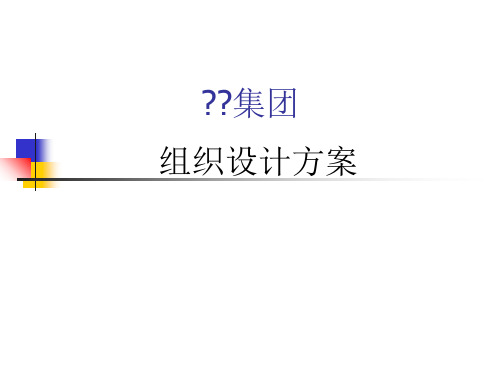 某集团组织设计方案(PPT 32页)