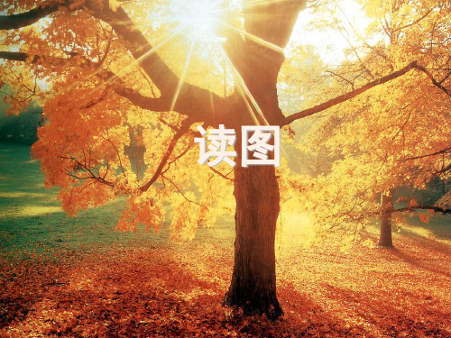 课前三分钟(课堂PPT)