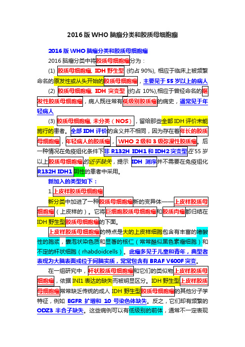 2016版WHO脑瘤分类和胶质母细胞瘤