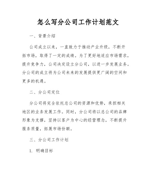 怎么写分公司工作计划范文