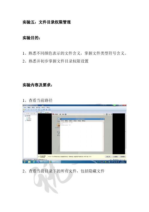 linux实验五：文件目录权限管理