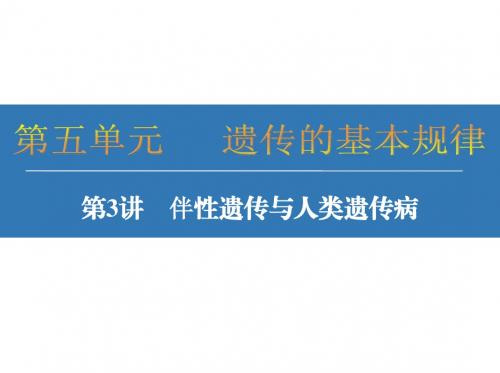 人教版2019年高考生物一轮复习课件:第3讲 伴性遗传与人类遗传病