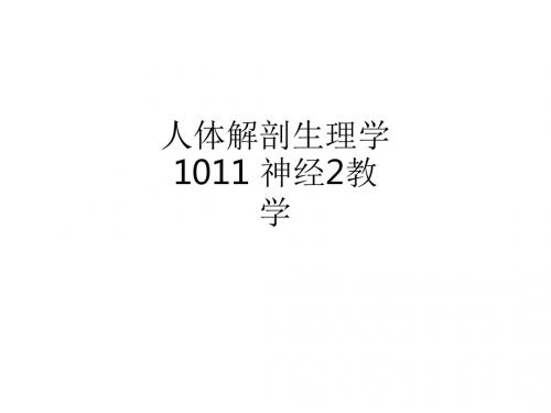 人体解剖生理学1011 神经2ppt课件