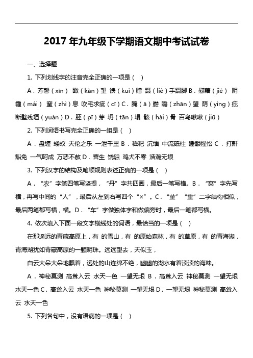 2017年九年级下学期语文期中考试试卷