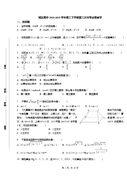 城区高中2018-2019学年高三下学期第三次月考试卷数学(1)