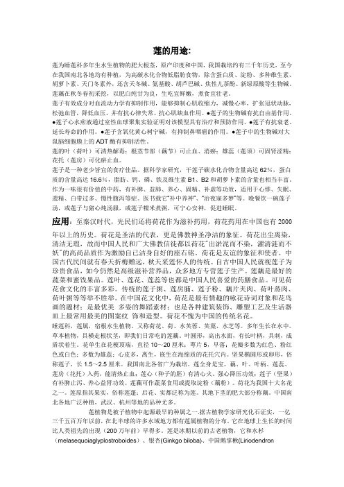 莲的用途