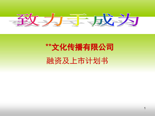 广告策划-PPT某文化传播有限公司融资计划书(商业计