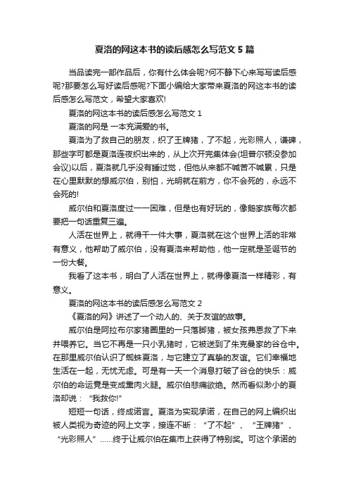 夏洛的网这本书的读后感怎么写范文5篇