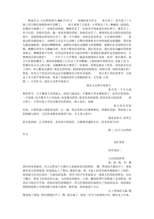 大自然的春天(600字)作文