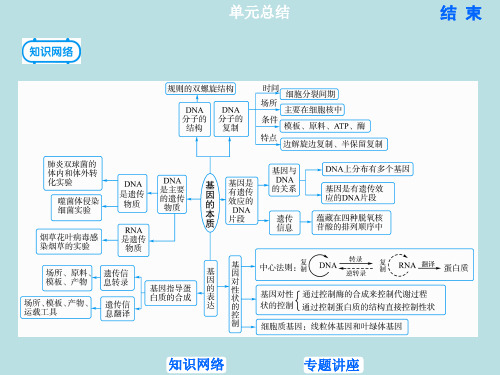 基因的本质PPT课件完整版1