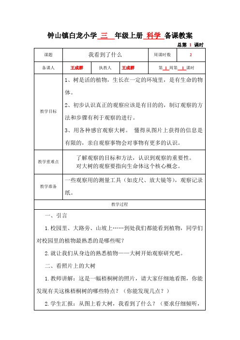 三  年级上册 科学《我看到了什么》教案