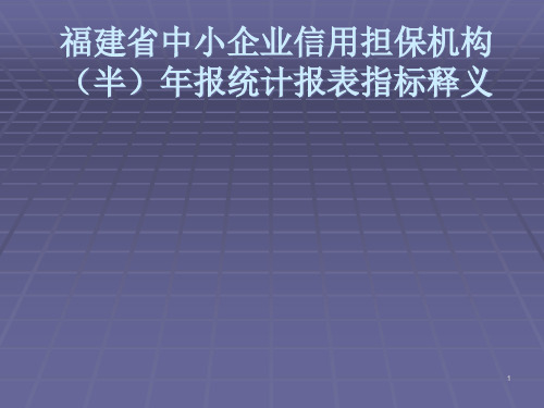 担保机构统计报表指标解释