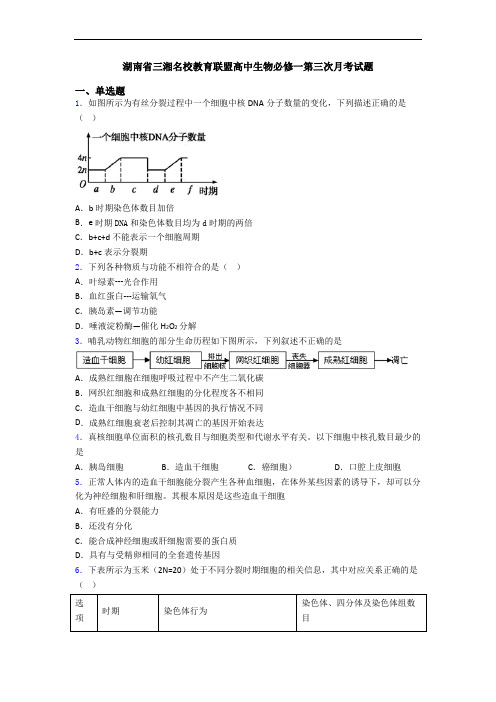 湖南省三湘名校教育联盟高中生物必修一第三次月考试题