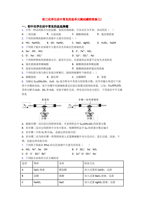 初三化学生活中常见的盐单元测试题附答案(1)