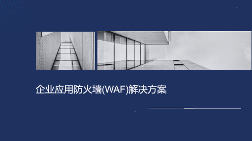 企业应用防火墙(WAF)解决方案