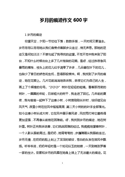 岁月的痕迹作文600字