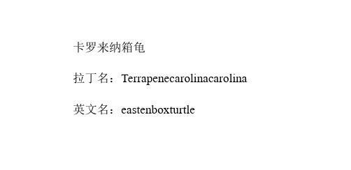 卡罗来纳箱龟