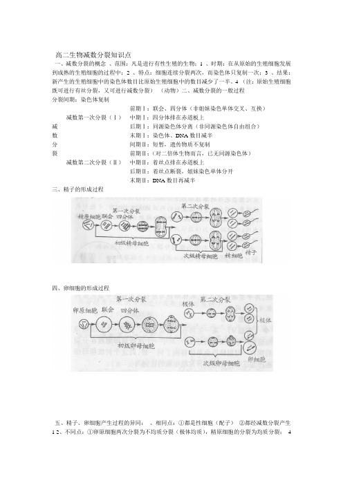 完整版减数分裂知识点总结