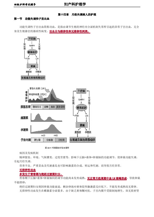 初级护师-妇产科护理学 讲义 第14章 月经失调病人的护理 图文