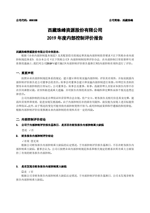 西藏珠峰：2019年内部控制评价报告