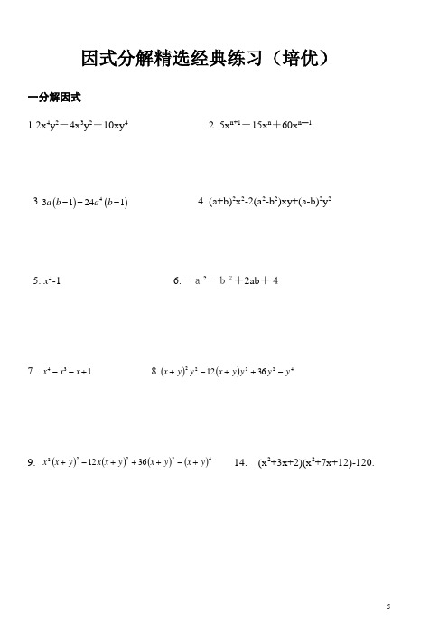 因式分解精练经典(培优)附详细答案