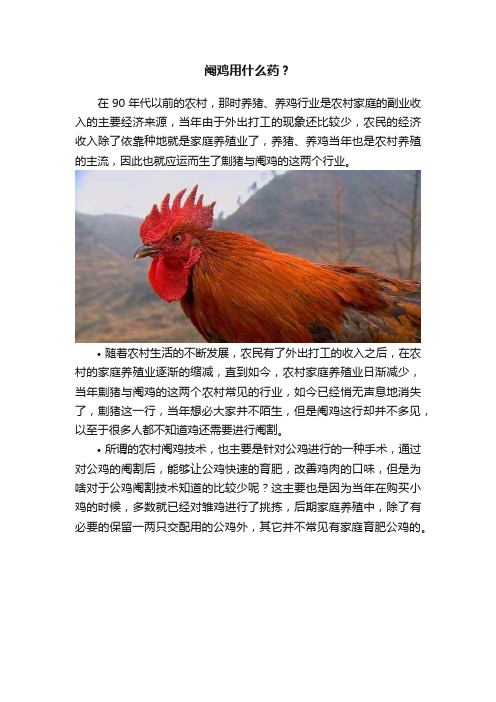 阉鸡用什么药？