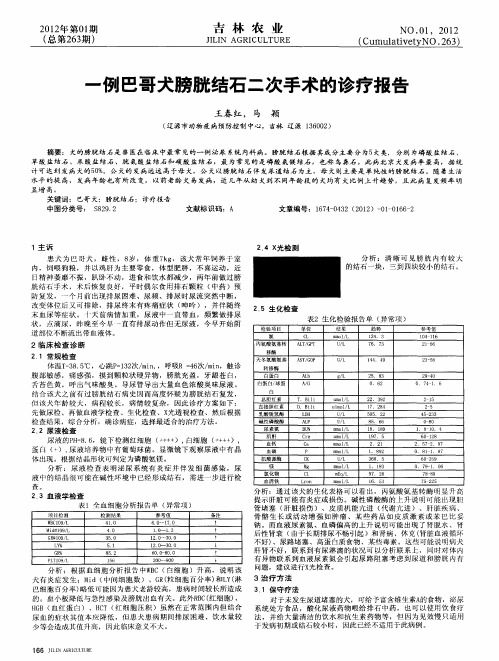 一例巴哥犬膀胱结石二次手术的诊疗报告