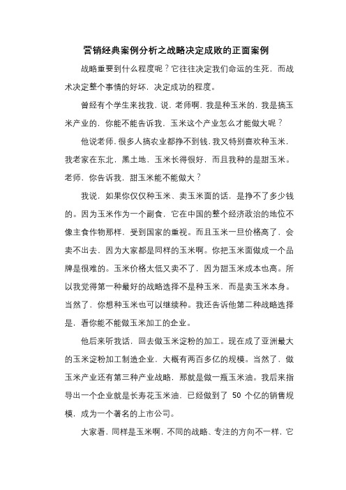 营销经典案例分析之战略决定成败的正面案例