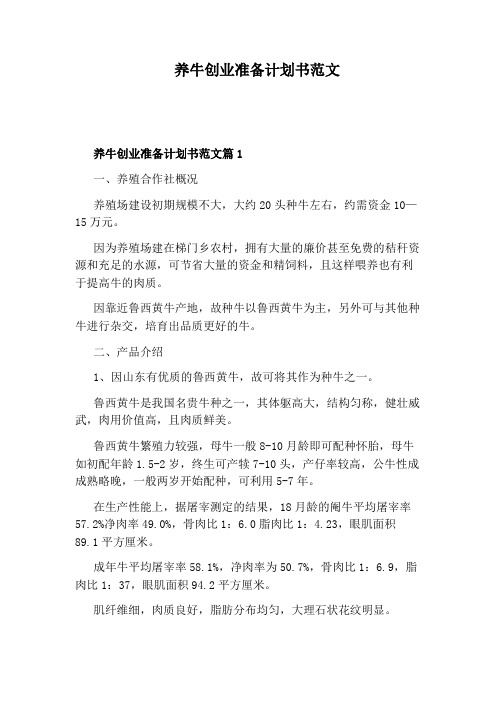 养牛创业准备计划书范文