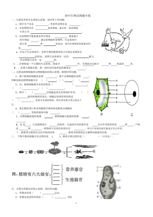 初中生物识图实验和答案