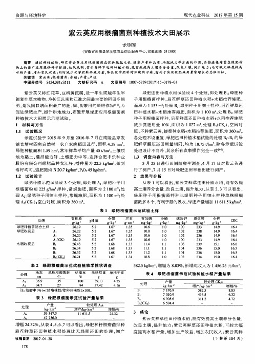 紫云英应用根瘤菌剂种植技术大田展示