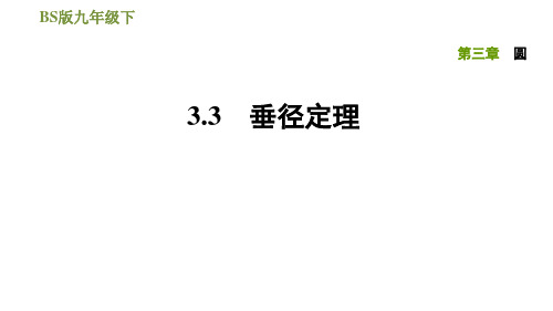 北师大版九年级下册数学习题课件3.3垂径定理