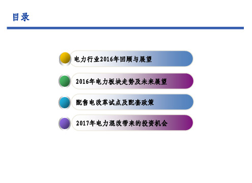 2016-2017年电力行业市场发展情况回顾与展望报告