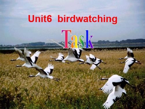 江苏省靖江市新港城初级中学八年级英语上册：Unit6 Birdwatching task