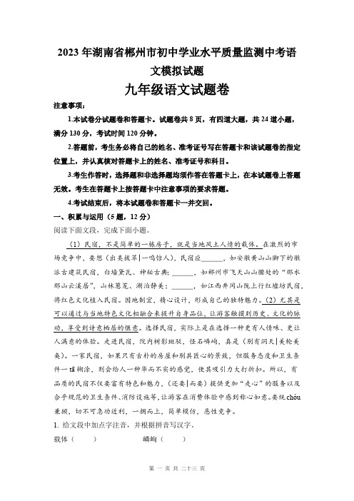 2023年湖南省郴州市初中学业水平质量监测中考语文模拟试题(解析版)