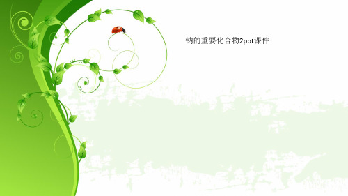 钠的重要化合物2ppt课件