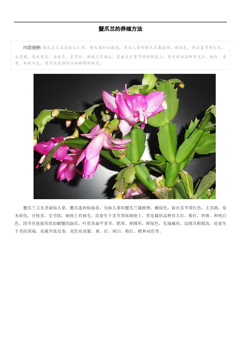 蟹爪兰的养殖方法