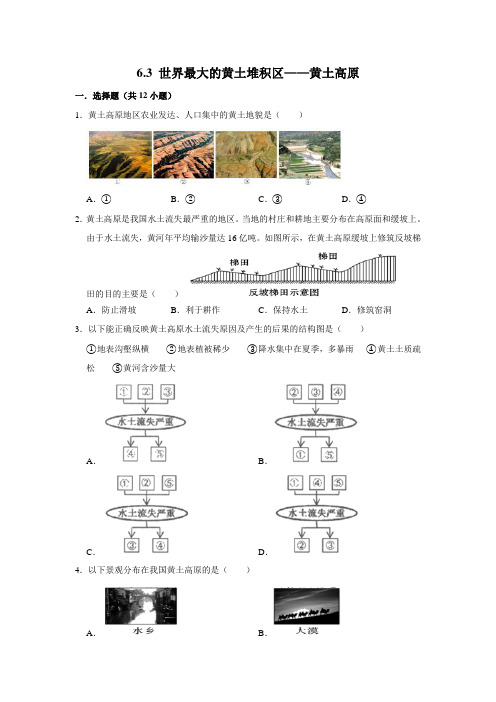 人教版八年级地理下学期 6.3 世界最大的黄土堆积区——黄土高原 同步练习