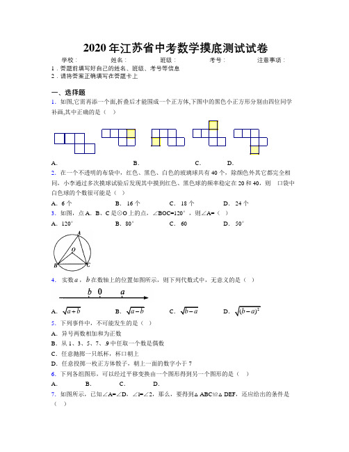 2020年江苏省中考数学摸底测试试卷附解析