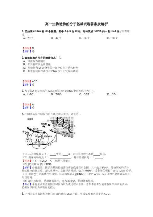 高一生物遗传的分子基础试题答案及解析
