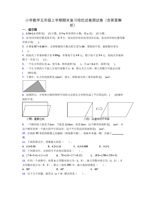 小学数学五年级上学期期末复习培优试卷测试卷(含答案解析)